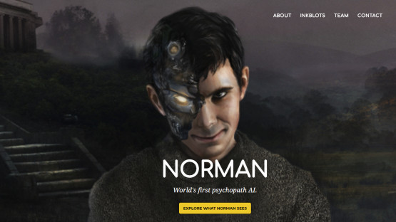 MIT Norman